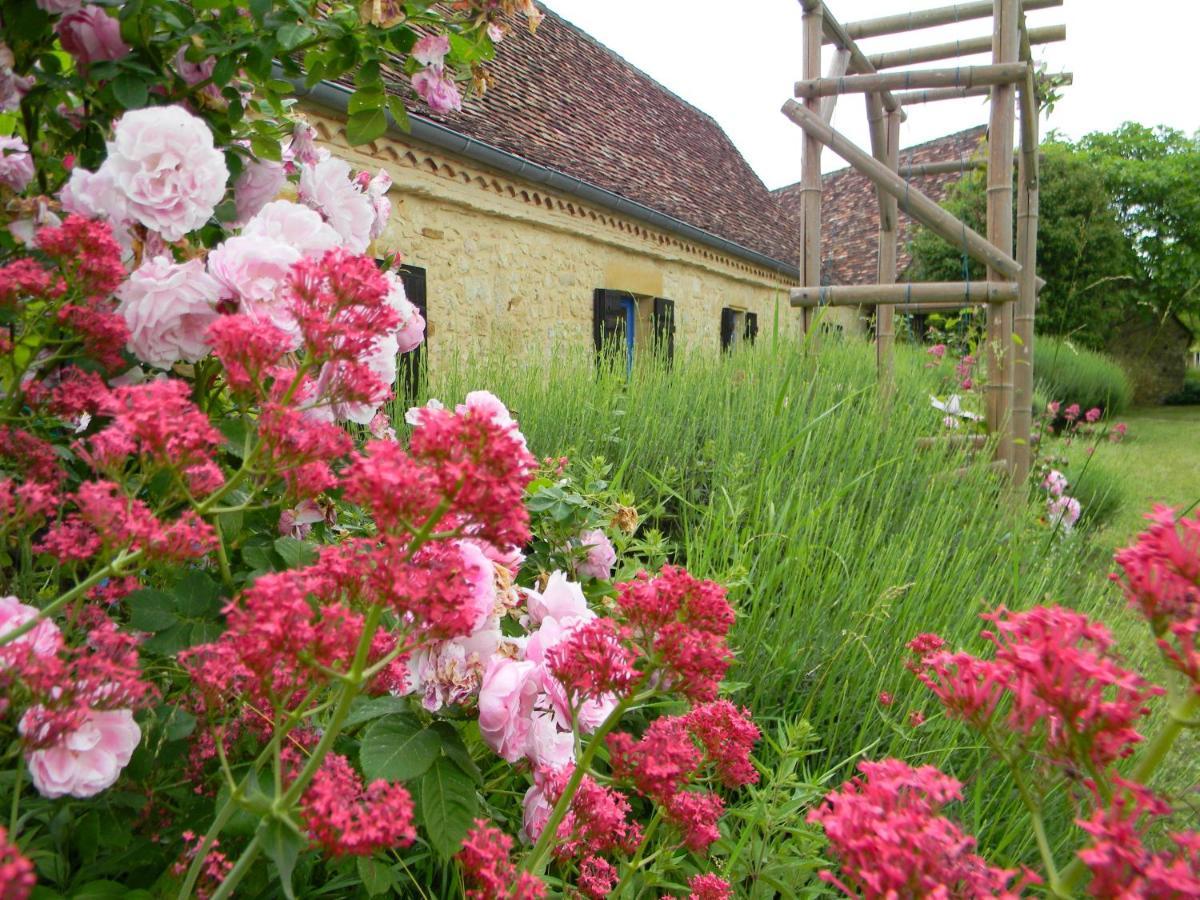 La Ferme De L'Embellie Gites Et Chambres D'Hotes Le Buisson-de-Cadouin Eksteriør billede