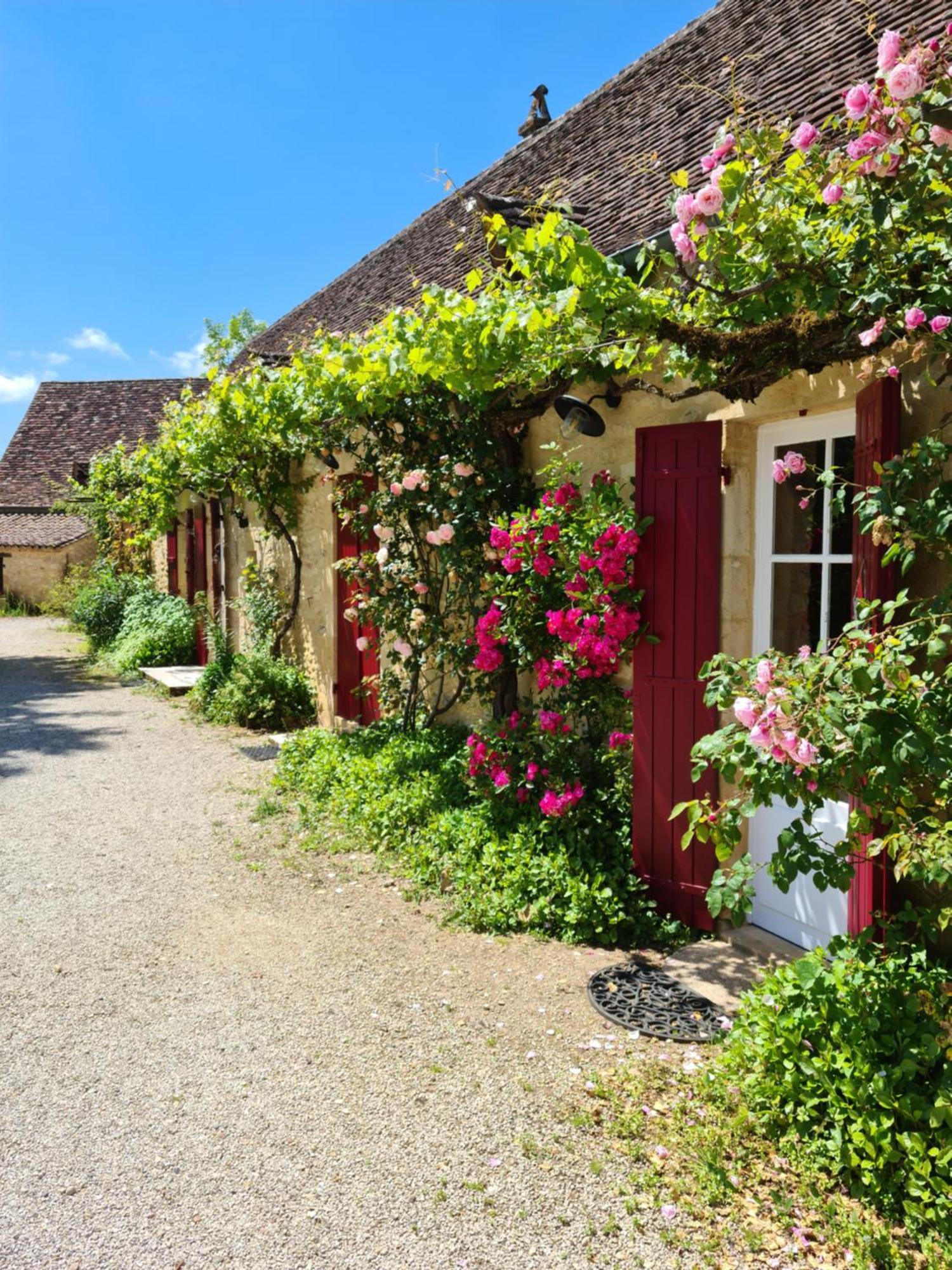 La Ferme De L'Embellie Gites Et Chambres D'Hotes Le Buisson-de-Cadouin Eksteriør billede